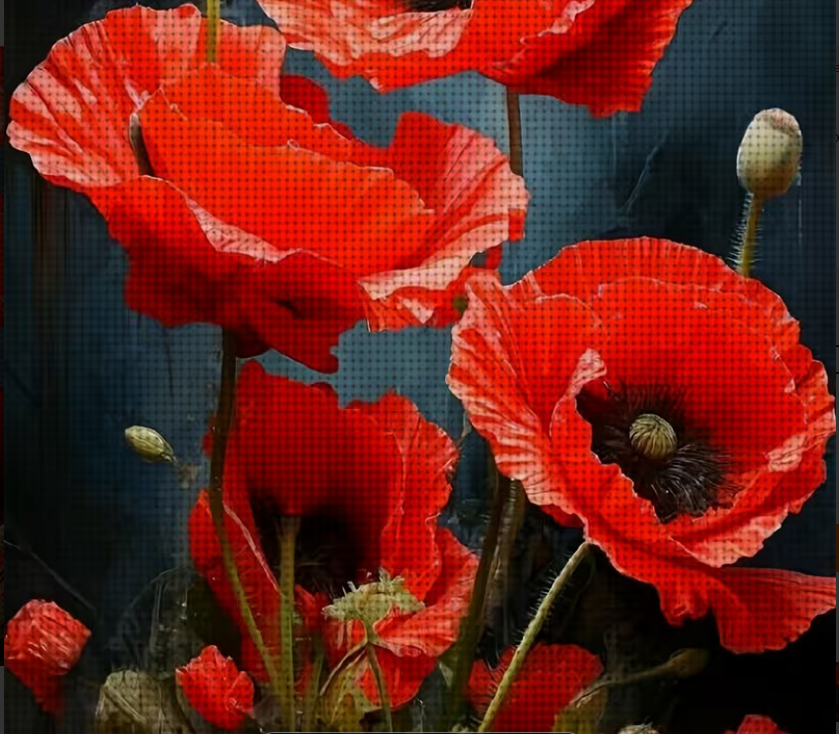 Cross Stich Kreuzstich Stickpackung BILD- Mohnblume 2 40x40cm